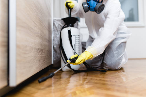 Best Ant Control Services  in Scottsville, NY