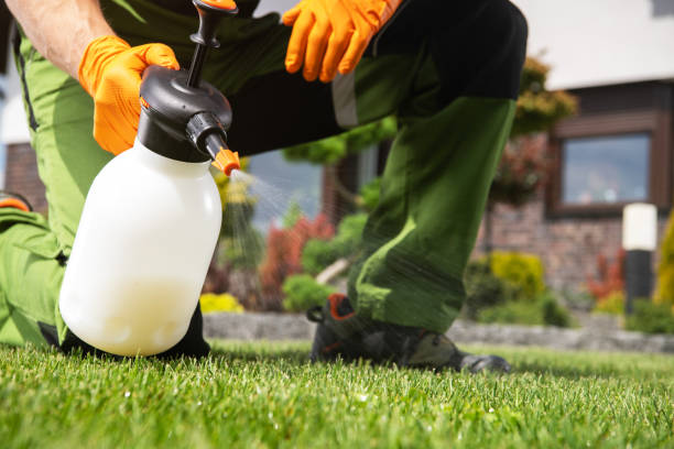 Best Commercial Pest Control Services  in Scottsville, NY