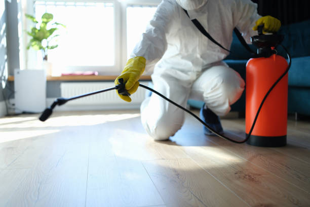 Best Flea Control Services  in Scottsville, NY