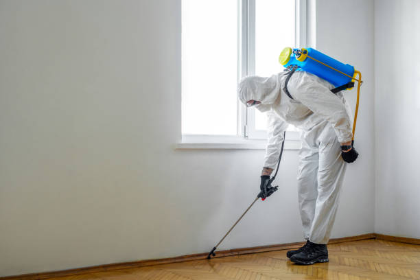 Best Mosquito Control Services  in Scottsville, NY
