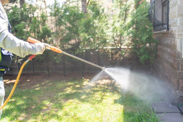 Best Best Pest Control Companies  in Scottsville, NY