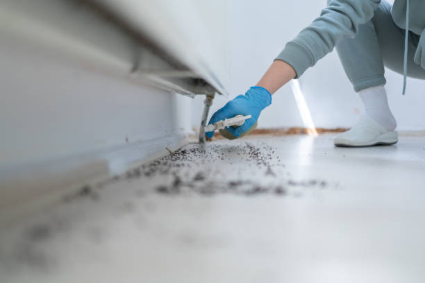 Best Cockroach Control Services  in Scottsville, NY